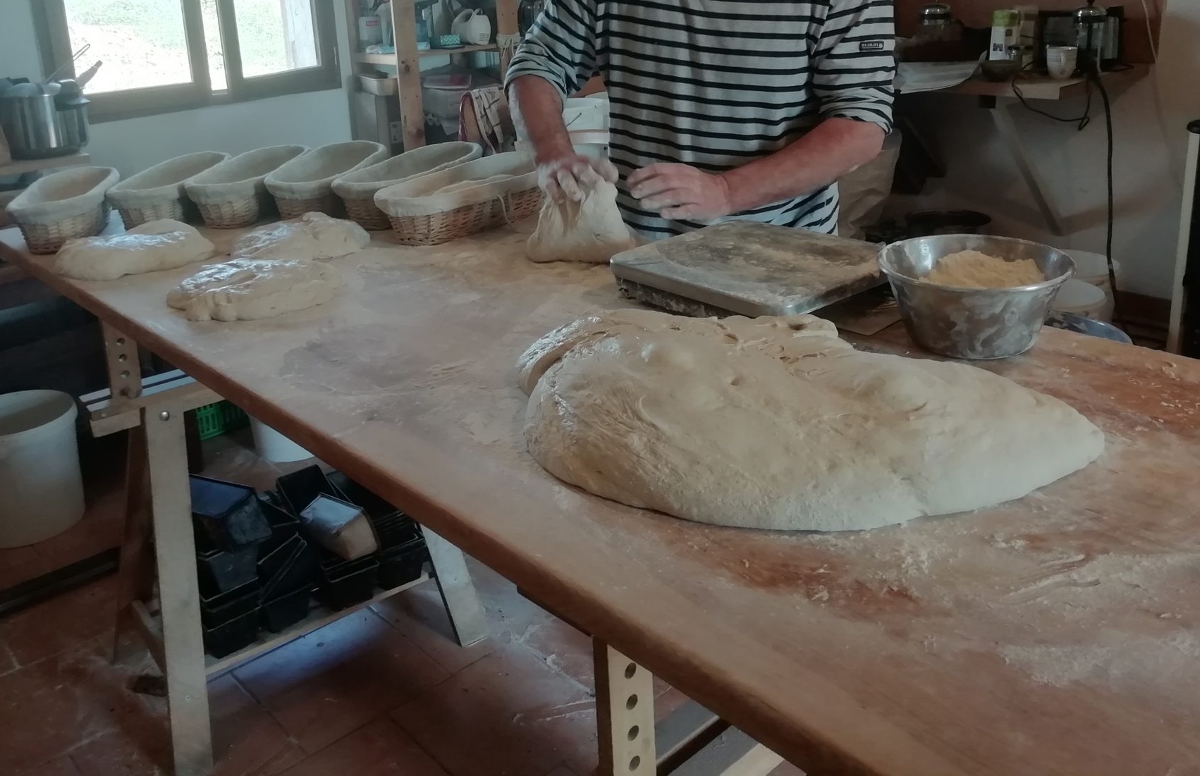 image gluten22048x1536.jpg (0.9MB)